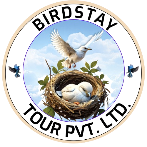 BirdStayTour